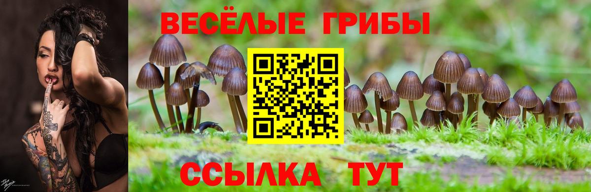 Псилоцибиновые грибы Psilocybine cubensis  Вход с VPN  Грозный 